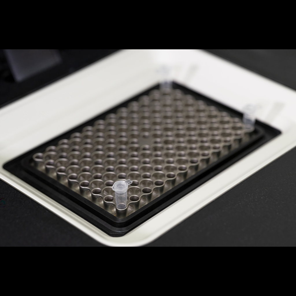 NucleoType Seed PCR (500)