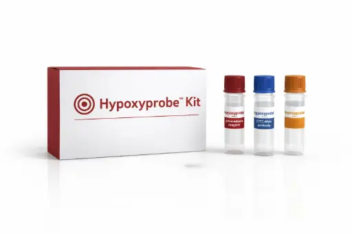 [HP-500mg] Pimonidazole HCl